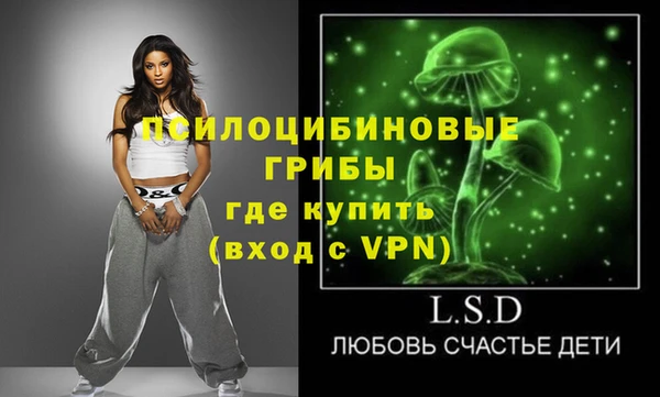 крисы Алзамай