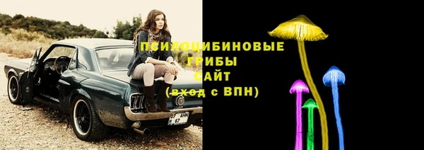 крисы Алзамай