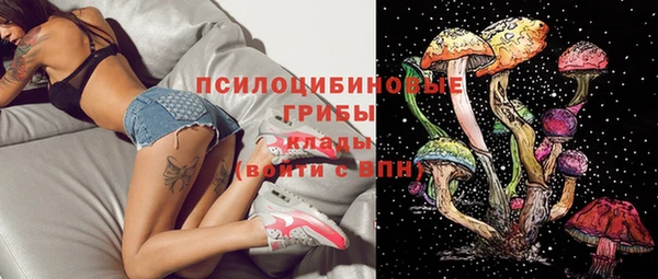 метадон Алексеевка