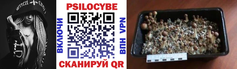 Галлюциногенные грибы мицелий  Звенигово 